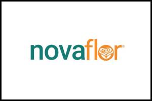 Nova Flor