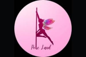 Pole Land Studio se firma entre as melhores academias de pole dance em São Paulo