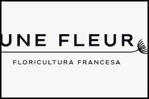 Une Fleur conquista com seu estilo contemporâneo e atenção aos detalhes, destacando-se, assim, entre as melhores floristas de São Paulo
