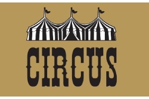 Circus Hair é um dos melhores salões de beleza de São Paulo