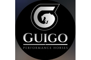 treinadores de cavalos - GUIGO