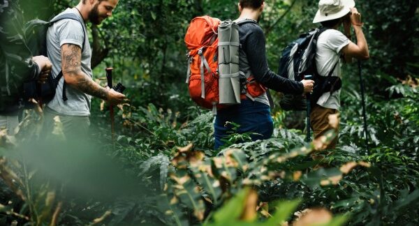 lugares para ecoturismo - grupo de amigos fazendo uma rota de ecoturismo pela floresta