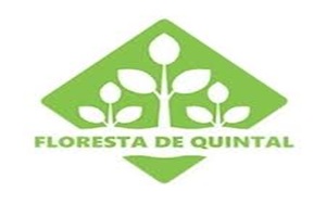 Floresta de Quintal